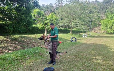 SUCCESSFUL COMPLETION OF K9 TRAINING COURSES
