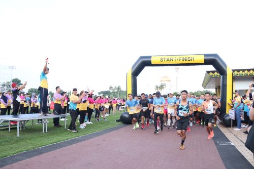 WHD Run 500x400-2.jpg